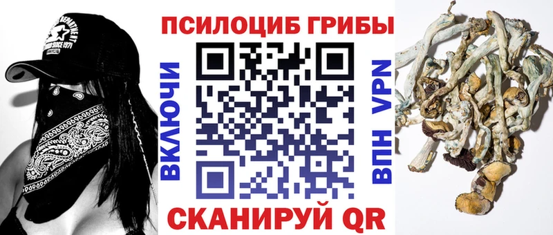 Псилоцибиновые грибы Cubensis  закладки  Елец 